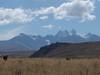 La Paz, Titicaca-5