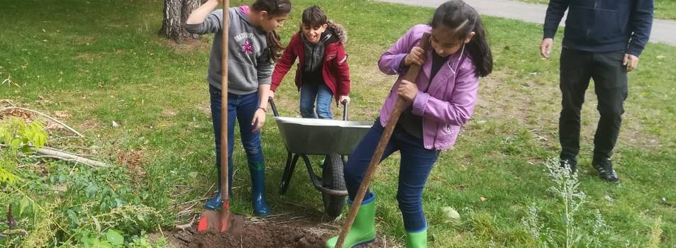 Gartenprojekt Bauluecke