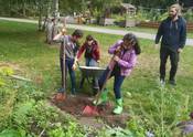 Gartenprojekt Bauluecke