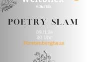 Poetry-Slam Nov 24 Münster